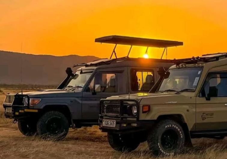 safari